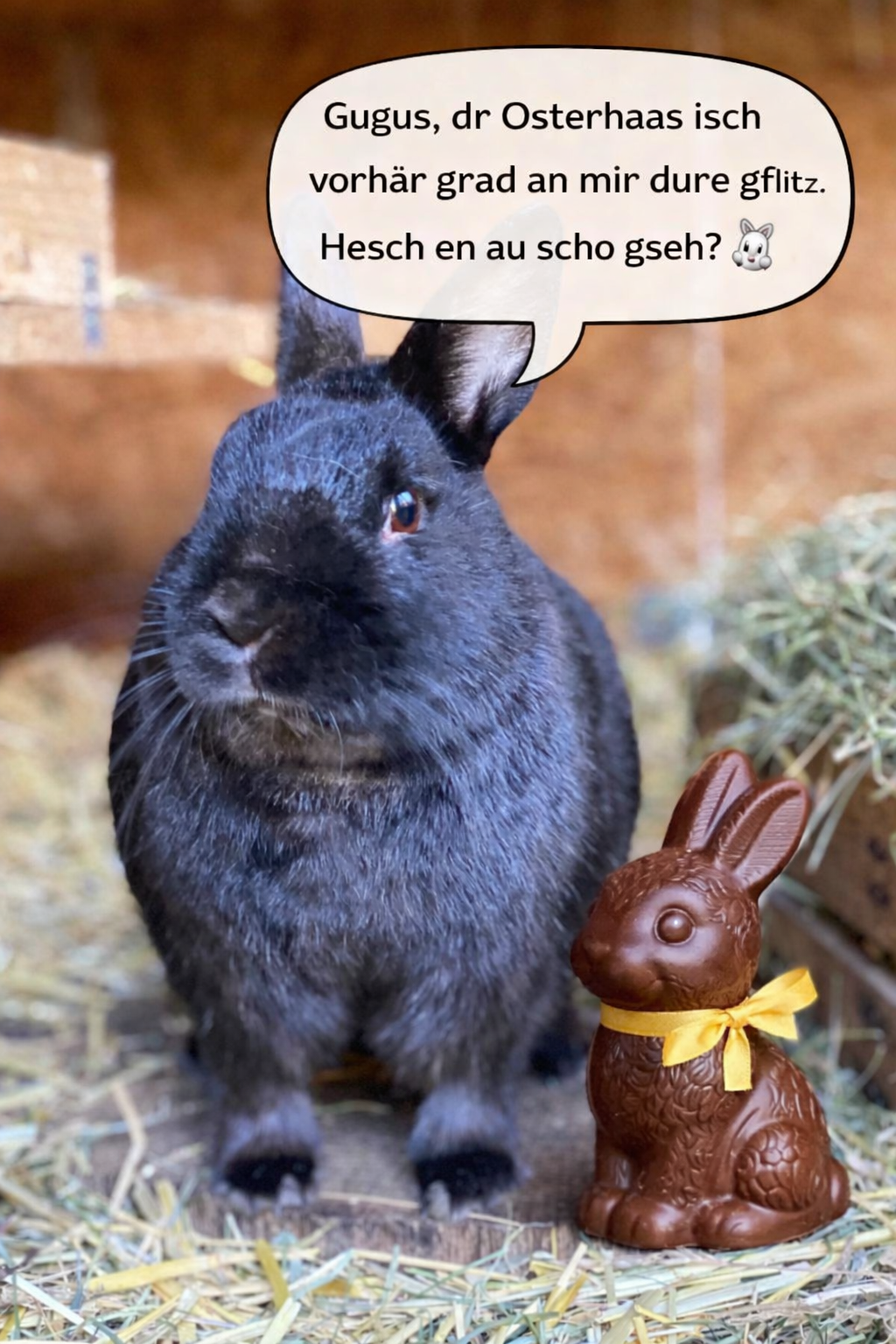 Osterhase